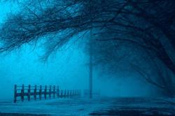 Dal dolore fisico al dolore emotivo: prevalenza di depressione, ansia e stress post traumatico nelle persone colpite da cancro